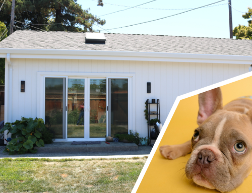 Pet-Friendly ADUs: Smart Design Tips for Happy Pets and Owners